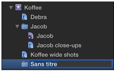 APPLE FINAL CUT PRO X - Organisation des collections à l'aide de dossiers - 1