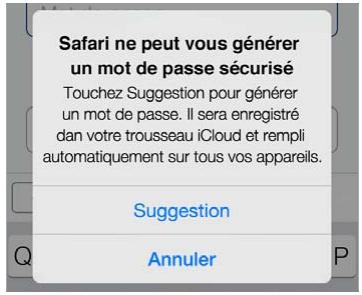 APPLE IPAD MINI 7,9 - Confidentialité et sécurité - 1