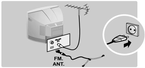 FM. ANT.