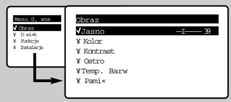 PHILIPS 14PT1686/58V - Ustawienia obrazu - 1