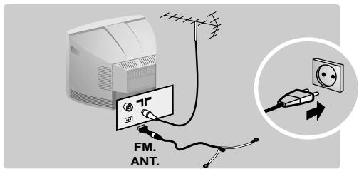 FM. ANT.