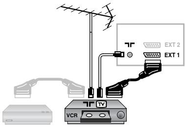 PHILIPS 15PT2966 - Raccordements - 1