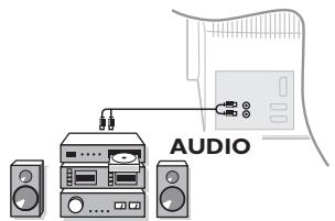 PHILIPS 29PT8640 - Wzmacniacz (dostępne tylko w niektórych wersjach) - 1