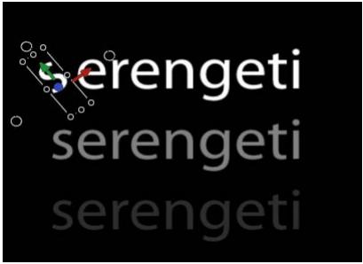 serengeti serengeti serengeti