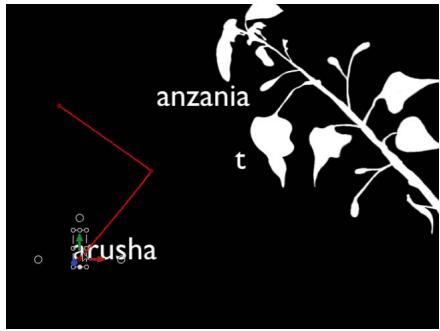 anzania t arusha