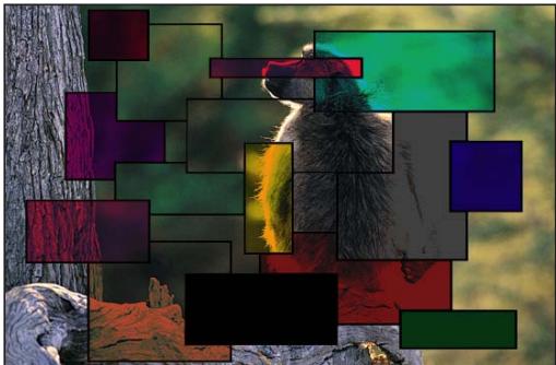 APPLE MOTION 5 - Obscurcir - 1
