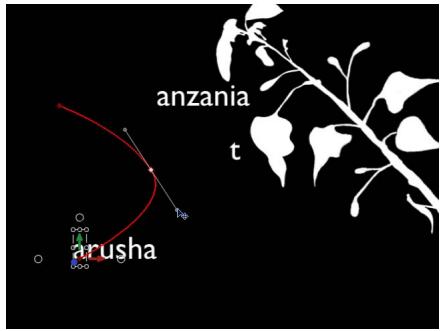 anzania t arusha