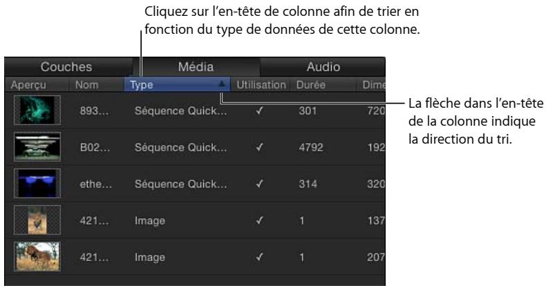 Clichez sur l'en-tête de colonne afin de trier en fonction du type de données de cette colonne. Couches Média Audio Aperçu Nom Type Utilisation Durée Dime 893... Séquence Quick... ✓ 301 720 B02... Séquence Quick... ✓ 4792 192 ethe... Séquence Quick... ✓ 314 320 421... Image ✓ 1 137 421... Image ✓ 1 207 La flèche dans l'en-tête de la colonne indique la direction du tri.