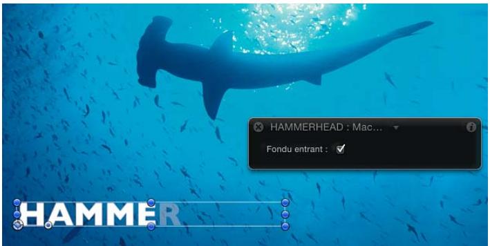 HAMMERHEAD : Mac... Fondu entrant : ✓ HAMMER