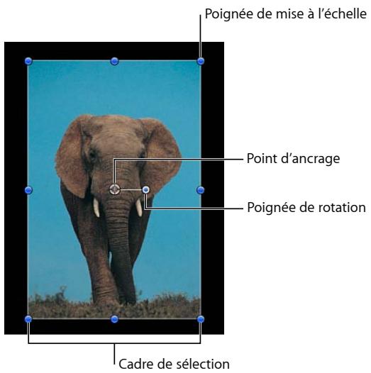 Poignée de mise à l'échelle Point d'ancrage Poignée de rotation Cadre de sélection