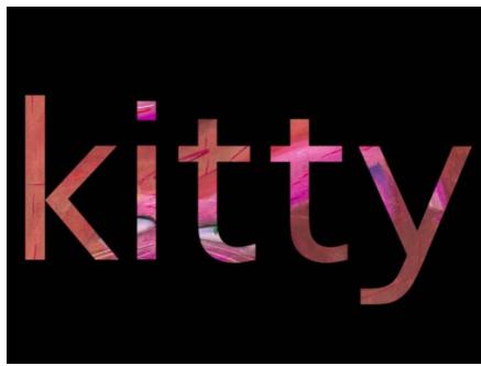 kitty