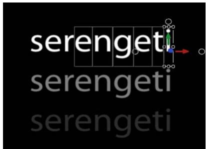 serengeti serengeti serengeti