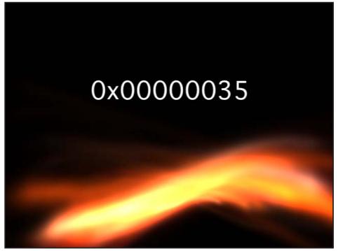 0x00000035