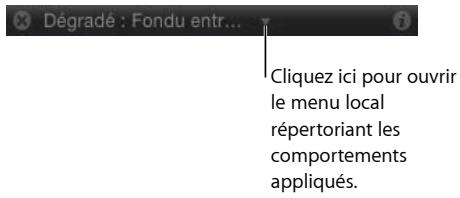 Dégradé : Fondu entr... Cliquez ici pour ouvrir le menu local répertoriant les comportements appliqués.