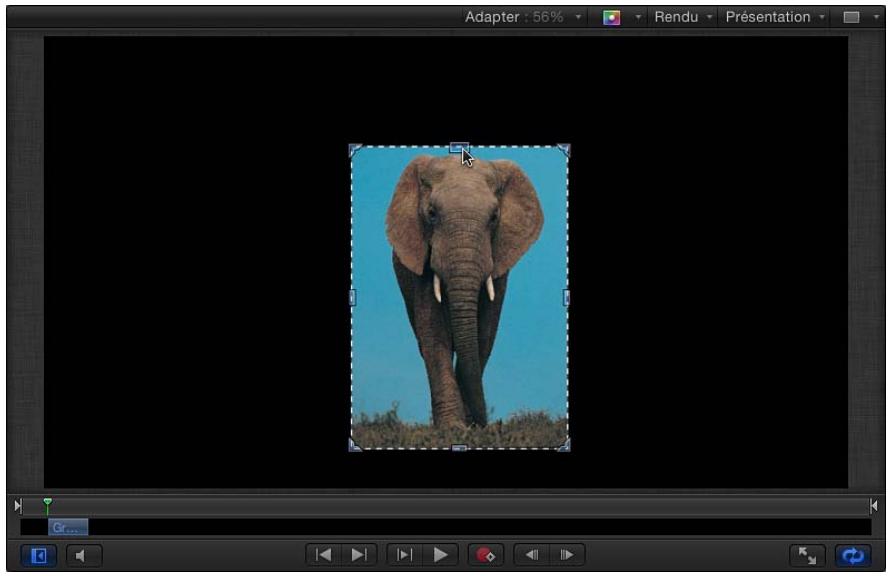APPLE MOTION 5 - Outil Rognage - 2