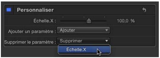 Personnaliser Échelle.X : 100,0 % Ajouter un paramètre : Ajouter Supprimer le paramètre : Supprimer Échelle.X