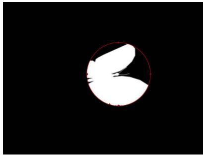 APPLE MOTION 5 - Commandes Masque dans l'inspecteur - 3