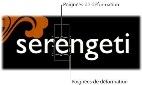 Poignées de déformation serengeti Poignées de déformation