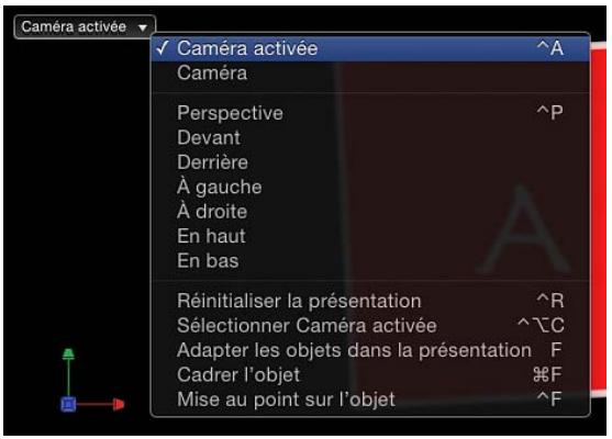 Caméra activée ✓ Caméra activée Caméra Perspective Devant Derrière À gauche À droite En haut En bas Réinitialiser la présentation Sélectionner Caméra activée Adapter les objets dans la présentation Cadrer l'objet Mise au point sur l'objet