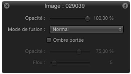 Image : 029039 Opacité : 100,00 % Mode de fusion : Normal Ombre portée Opacité : 75,00 % Flou : 5
