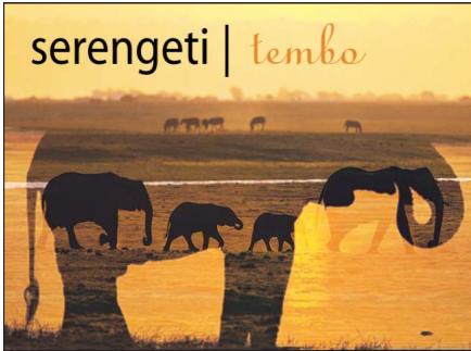 serengeti | tembo