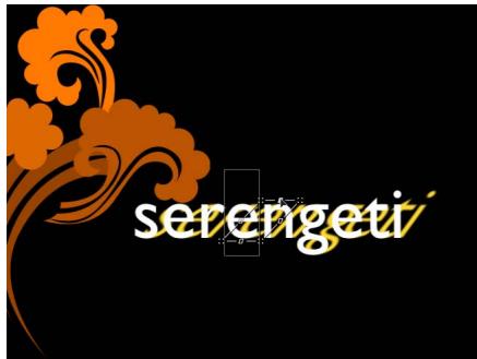 serengeti