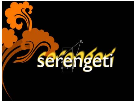 serengeti