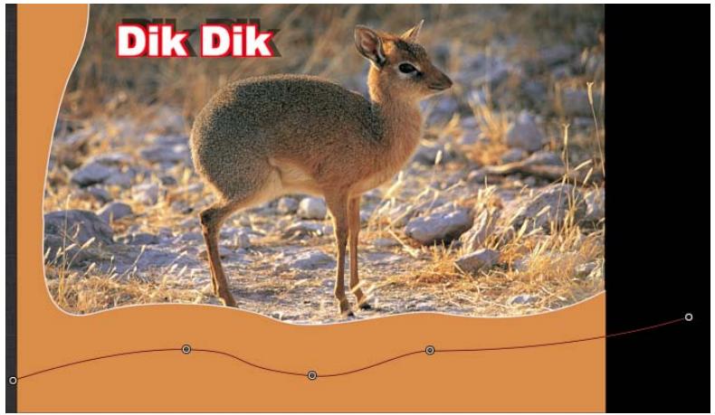 Dik Dik