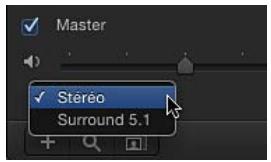 Master Steréo Surround 5.1