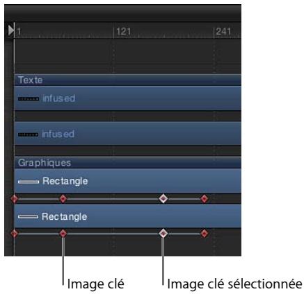 Texte infused infused Graphiques Rectangle Rectangle Image clé Image clé sélectionnée