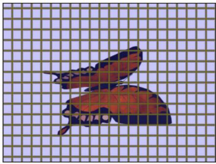 APPLE MOTION 5 - Grille - 2