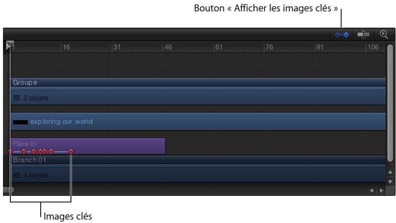 Bouton « Afficher les images clés » Groupe 2 objets exploring our world Flare In Branch 01 4 objets Images clés