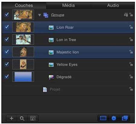 Couches Média Audio ✓ Groupe ✓ Lion Roar ✓ Lon in Tree ✓ Majestic lion ✓ Yellow Eyes ✓ Dégradé Projet