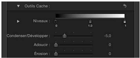 Outils Cache : Niveaux : 0 1.0 1 Condenser/Développer : -5,0 Adoucir : 0 Érosion : 0
