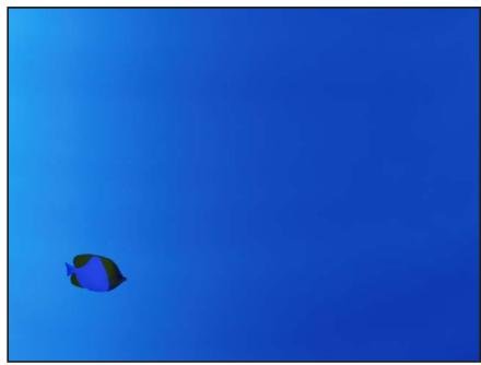 APPLE MOTION 5 - À propos des systèmes de particules - 1