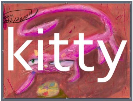 Kitty