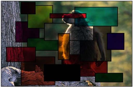 APPLE MOTION 5 - Obscurcir - 3