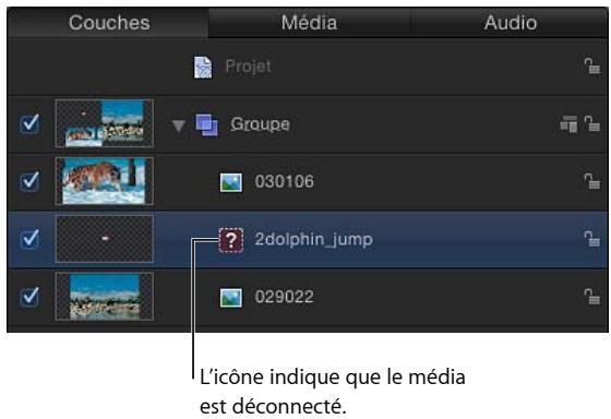 Couches Média Audio Projet Groupe 030106 2dolphin_jump 029022 L'icône indique que le média est déconnecté.