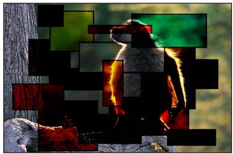 APPLE MOTION 5 - Obscurcir - 5