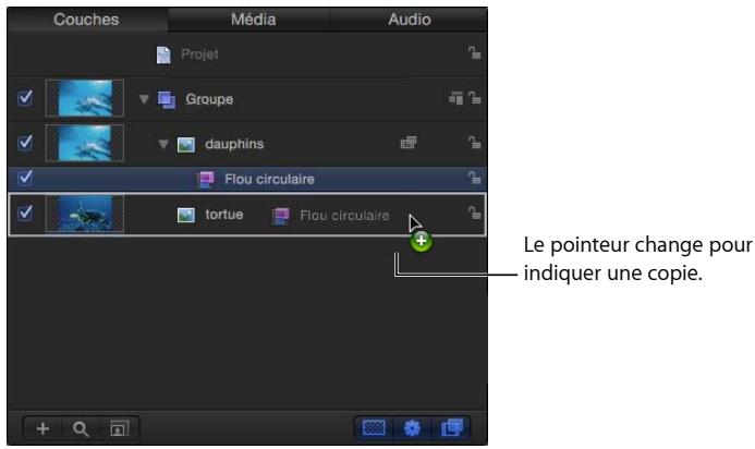 Couches Média Audio Projet Groupe dauphins Flou circulaire tortue Flou circulaire Le pointeur change pour indiquer une copie.