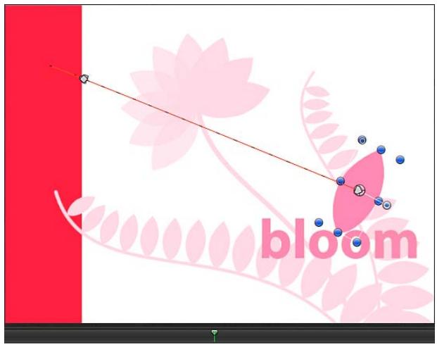 bloom
