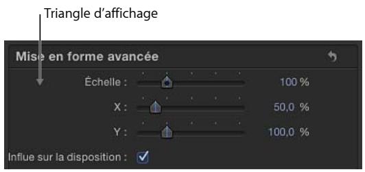 Triangle d'affichage Mise en forme avancée Échelle : 100 % X : 50,0 % Y : 100,0 % Influe sur la disposition : ✓