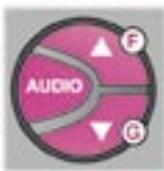 PEUGEOT EXPERT RESTYLE - Les réglages AUDIO - 1