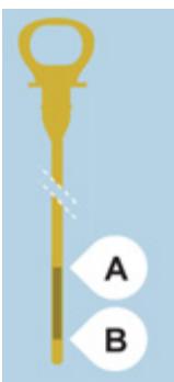 PEUGEOT EXPERT TEPEE RESTYLE - Niveau d'huile - 1