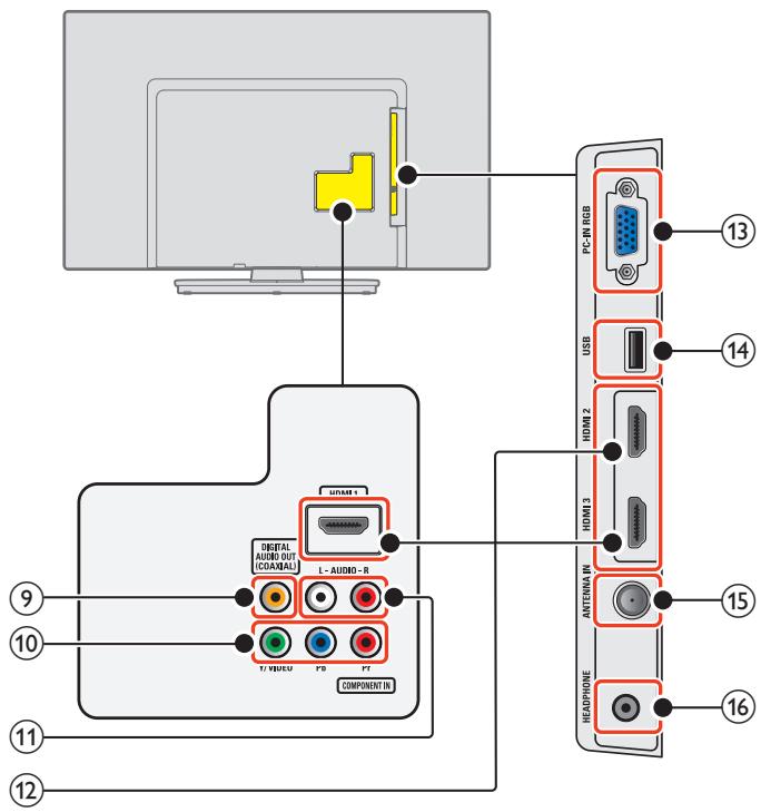PHILIPS 32PFL4508 - Terminales - 1