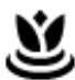 TOMTOM VIO - Autres services - 10