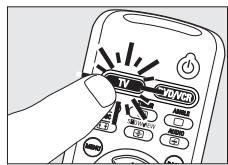 PHILIPS SRU520 - Voorbeeld tv: - 1