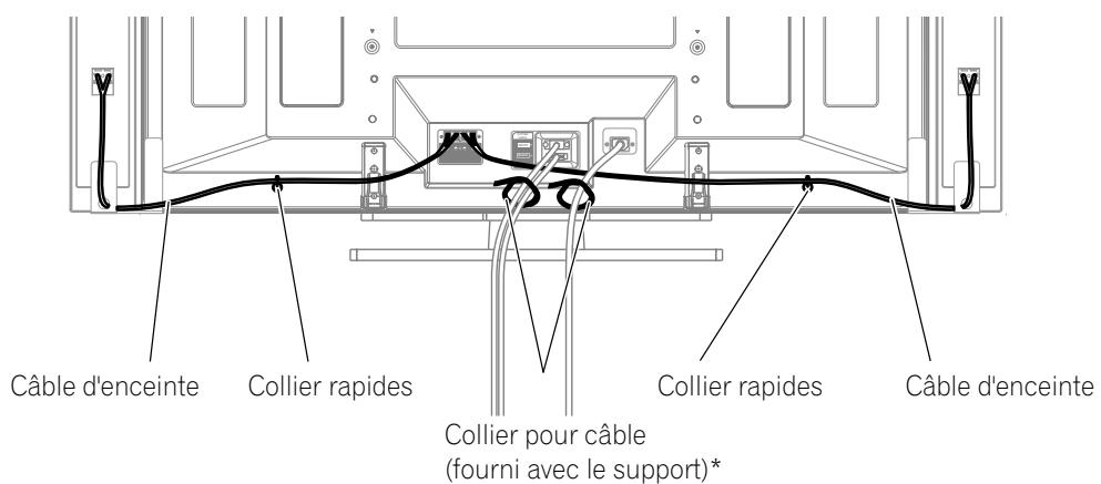 PIONEER PDP-506 PE & PDP-506FDE - Cheminement des câbles - 1