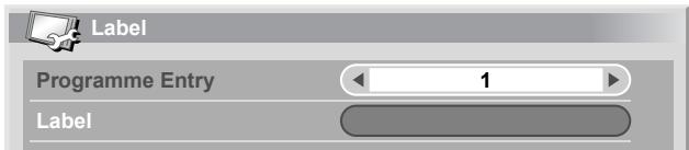 PIONEER PDP-506 PE & PDP-506FDE - Labelling TV channels - 1