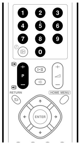 PIONEER PDP-506 PE & PDP-506FDE - Témoins d' état de l'écran plasma et du récepteur Média - 2